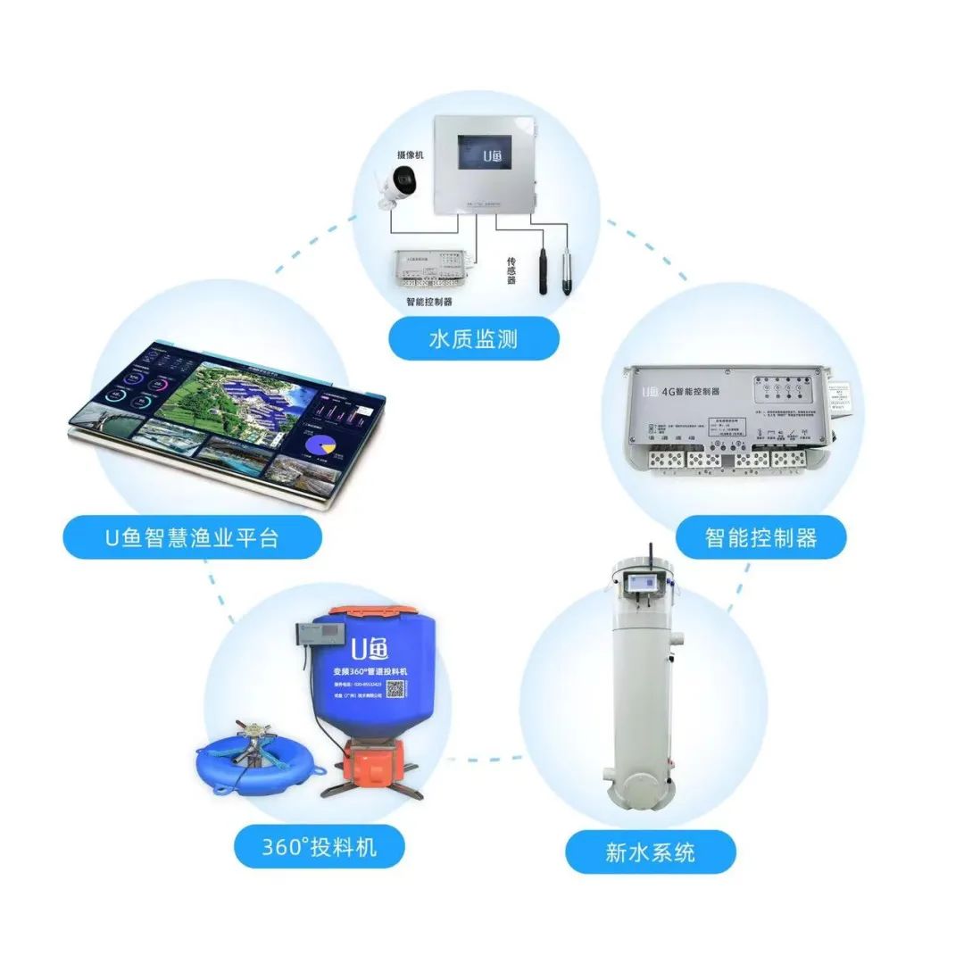 養(yǎng)殖設(shè)備免費送？互聯(lián)網(wǎng)技術(shù)如何重塑養(yǎng)殖設(shè)施行業(yè)新格局